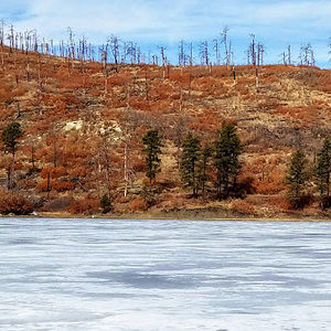 Meet your Posher, Robyn